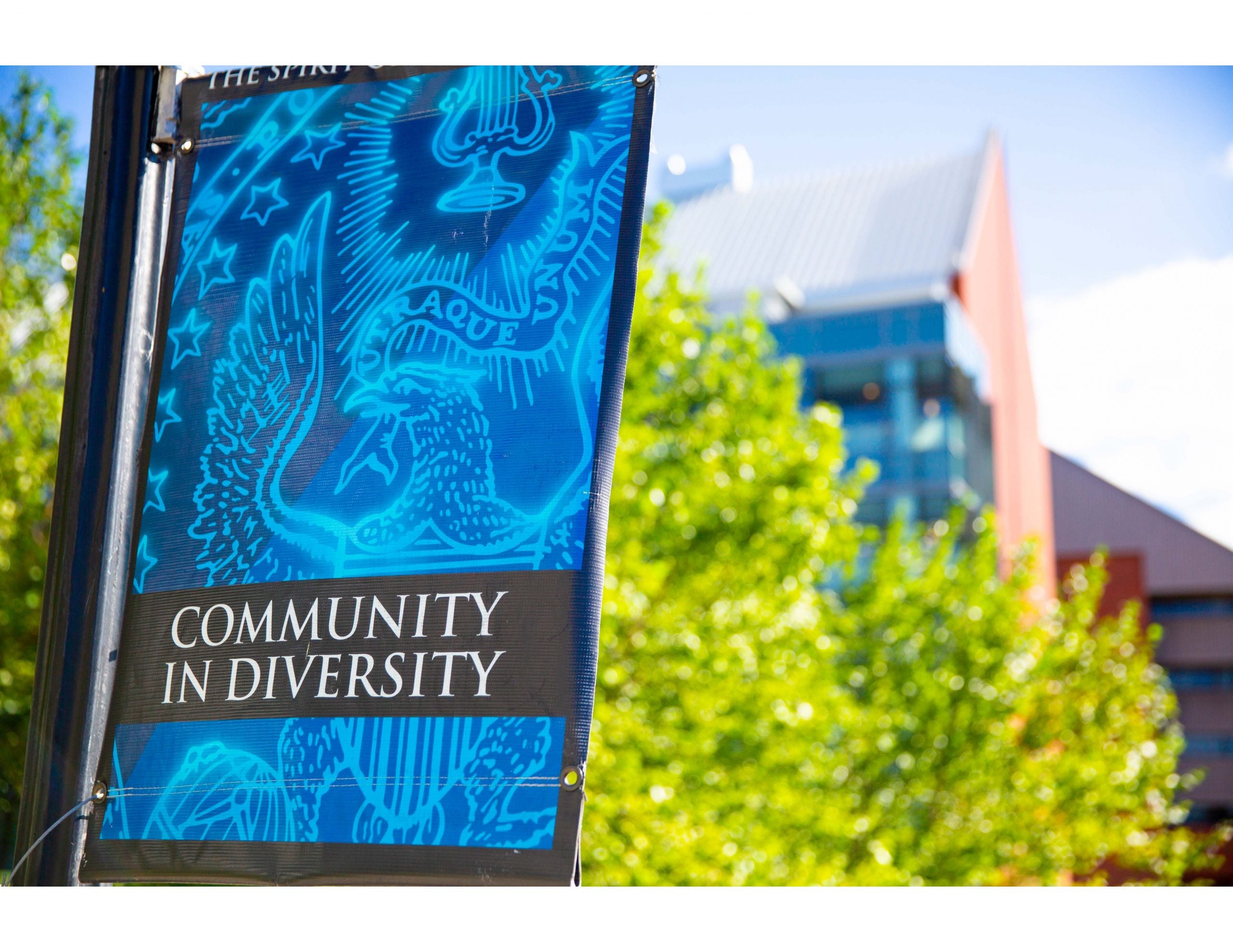 Banner on a pole that reads Community In Diversity. A campus building is in the background.